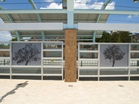 FEATURE PROJECT - DALLAS TEXAS- DART LIGHTRAIL - CD Ironworks, Inc.